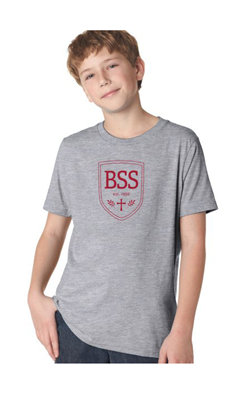 Boy's T-Shirt - Gray